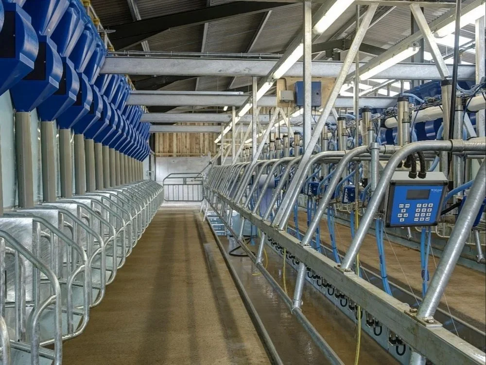 Dairy technology illustration
